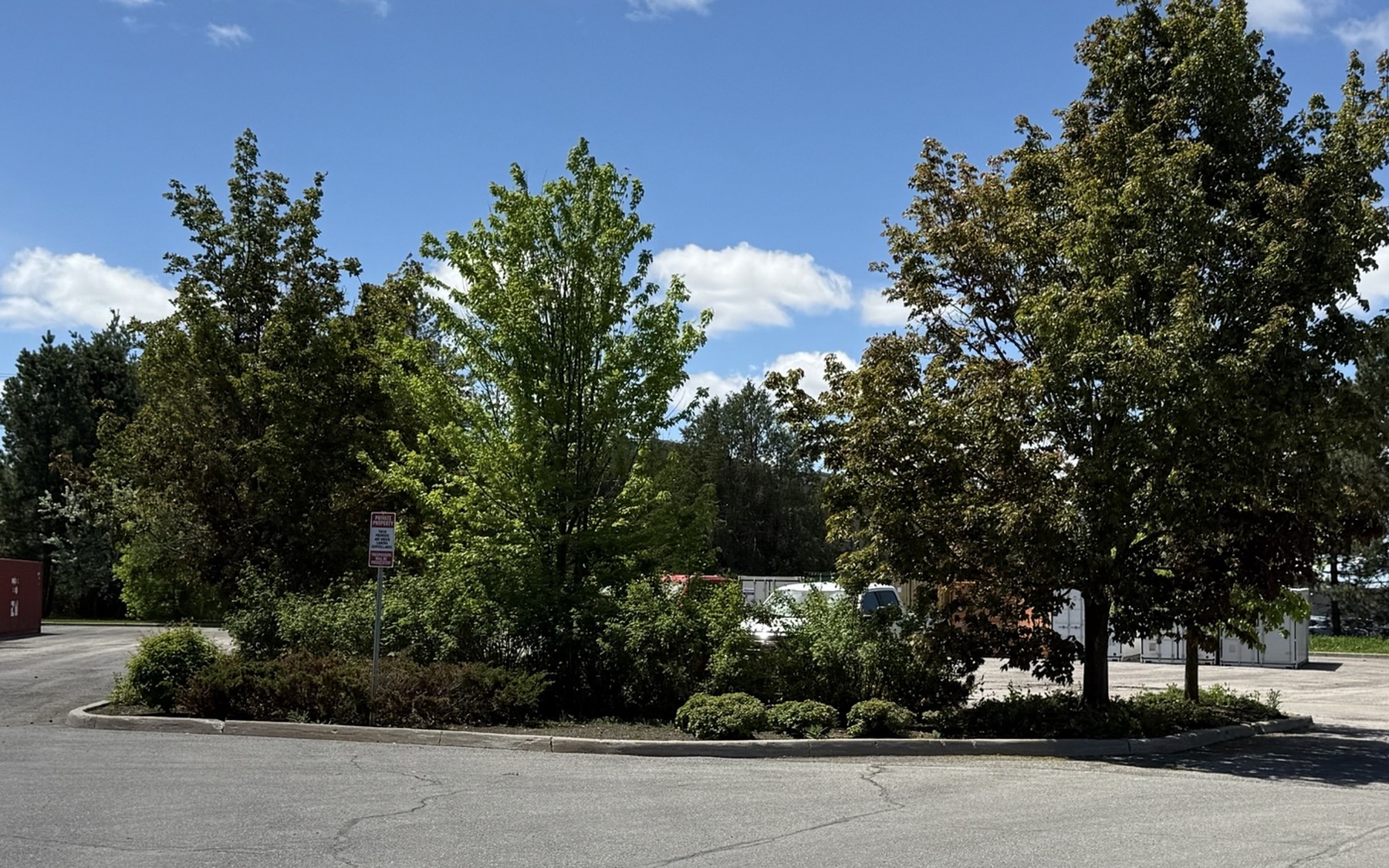 Commercial landscape bed before OneBluePlanet groundskeeping improvements