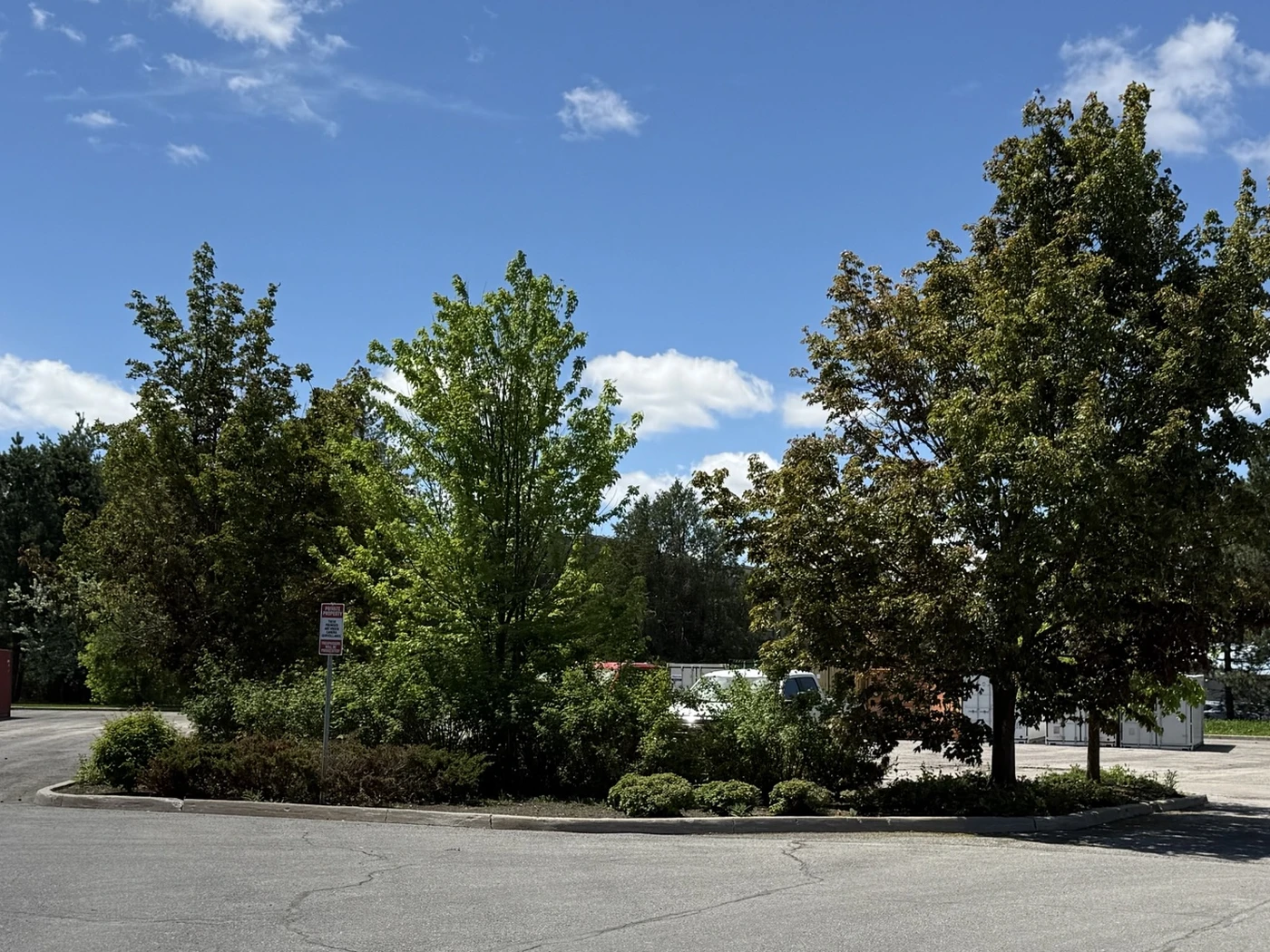 Commercial landscape island before improvement