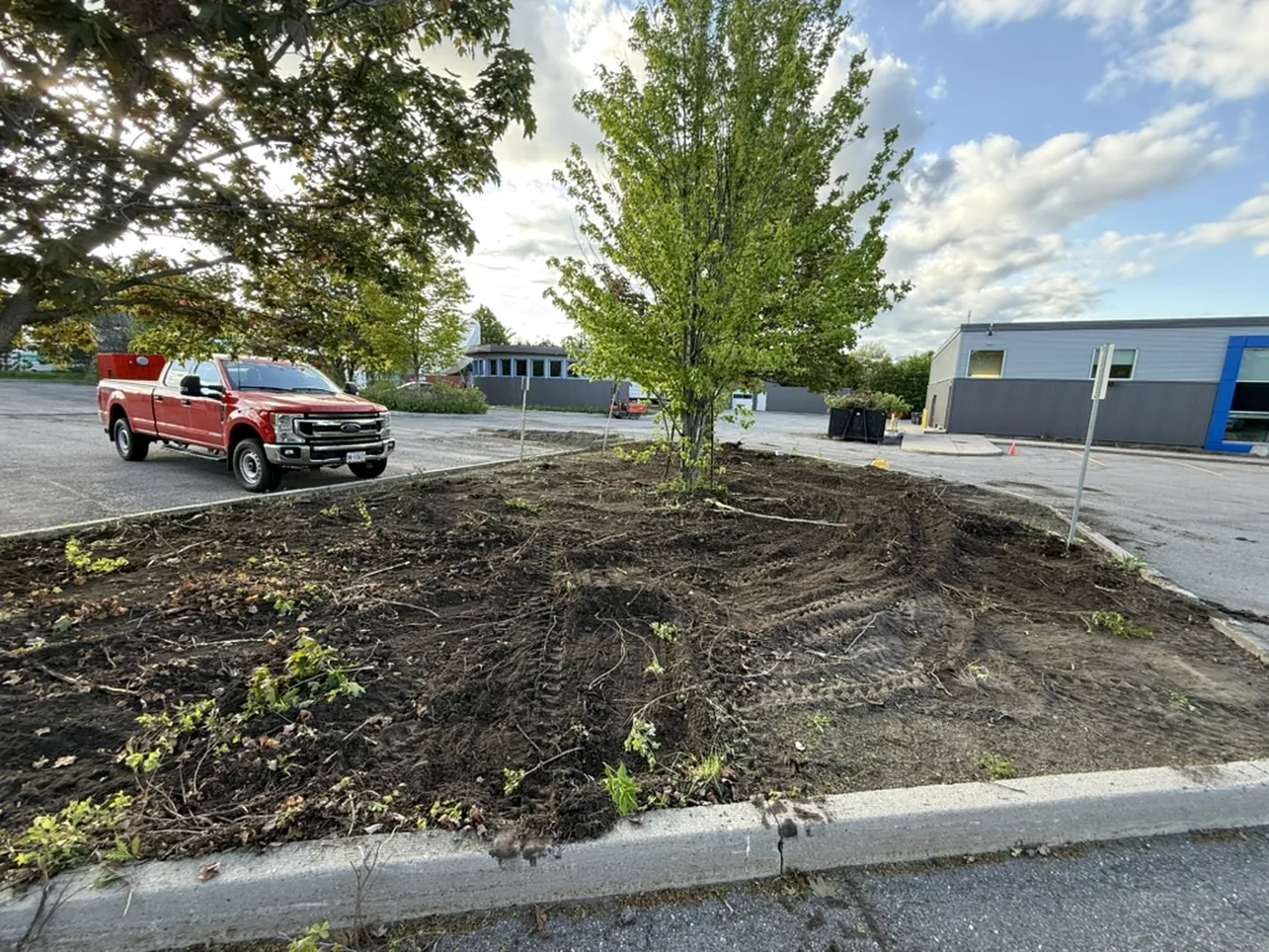 Commercial landscape island during construction