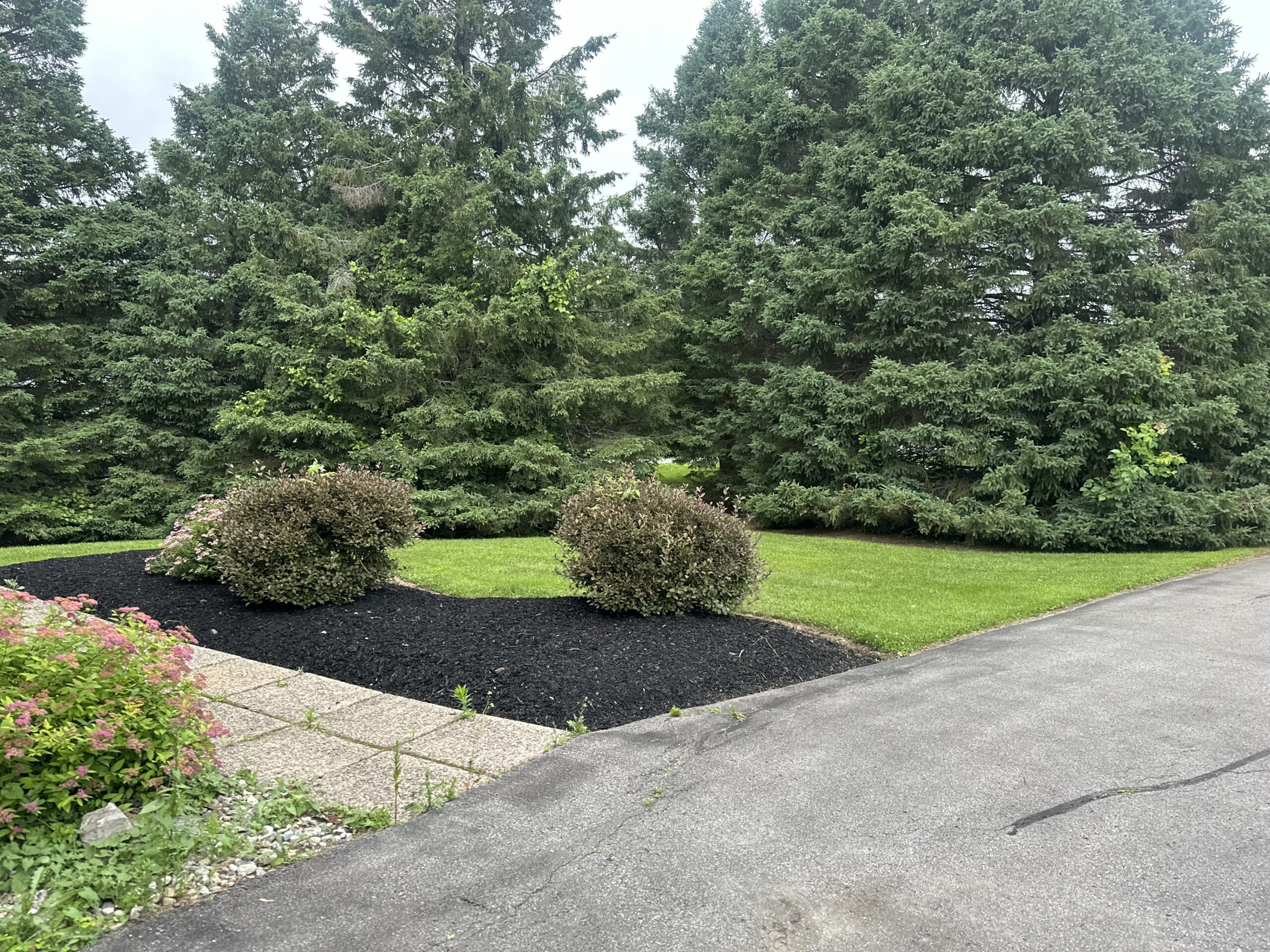 Creating Attractive and Functional Commercial Landscapes in Manotick for Tenants and Visitors landscaping ottawa kanata 3